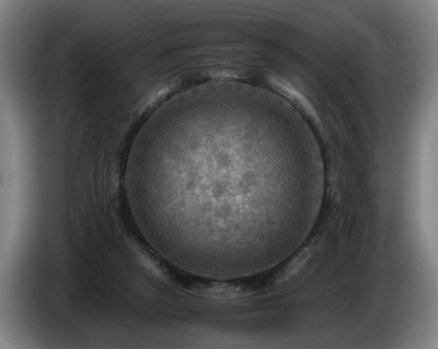 X0000086770257200704201810