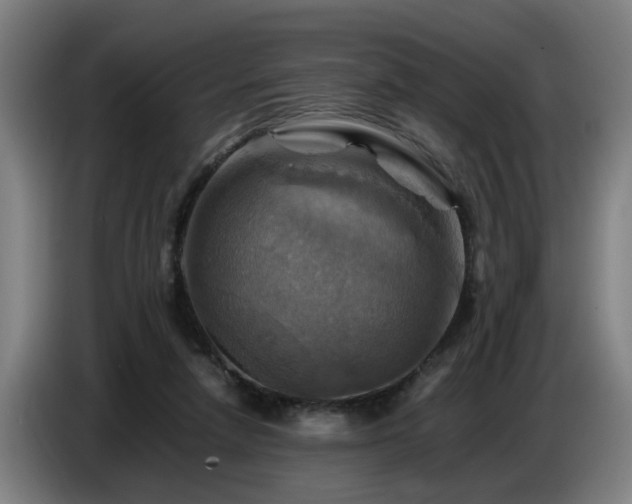 X0000086770258200704201810
