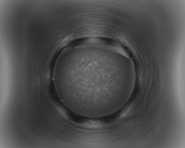 X0000086770260200704201810