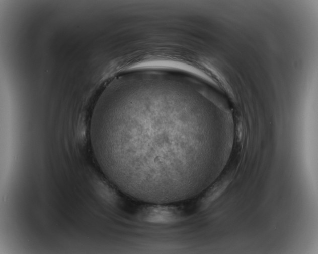 X0000086770261200704201810