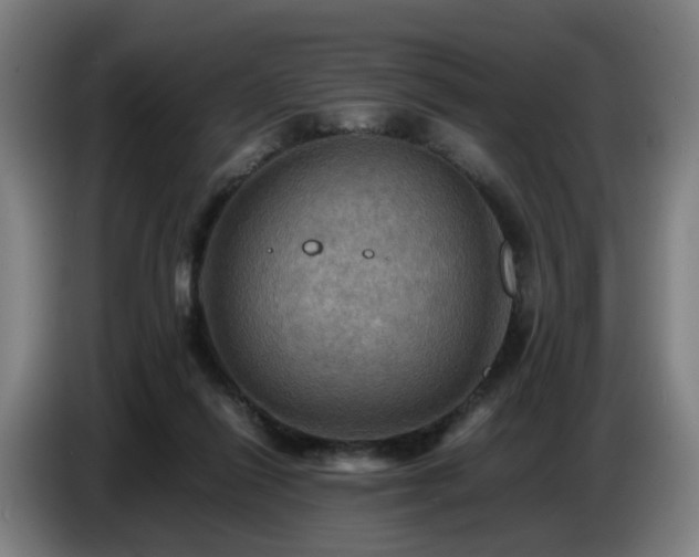 X0000086770262200704201810