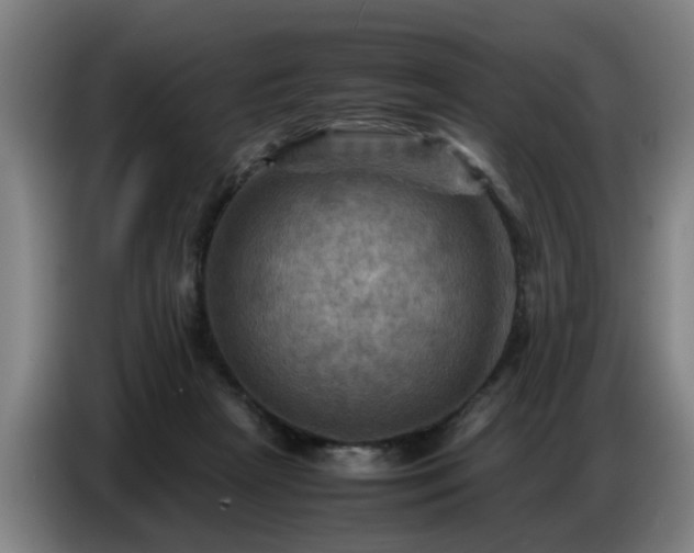 X0000086770265200704201810