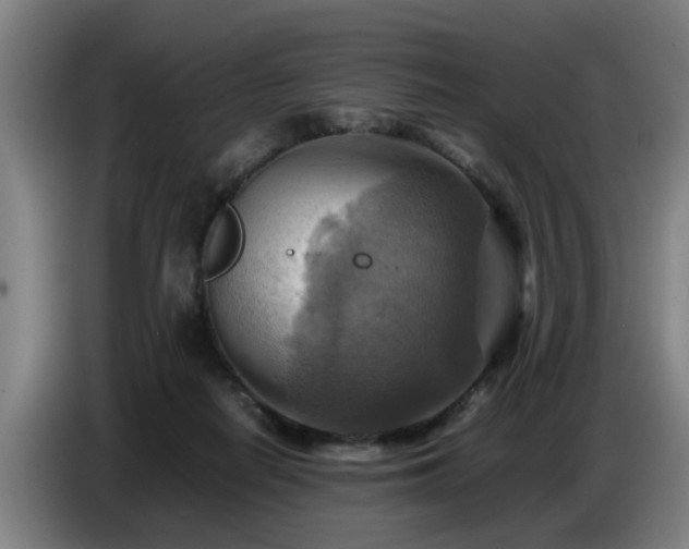 X0000086770266200704201810