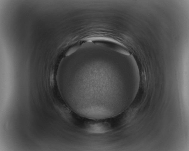 X0000086770267200704201810