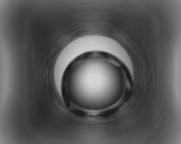 X0000086770268200704201810