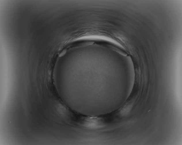 X0000086770269200704201810