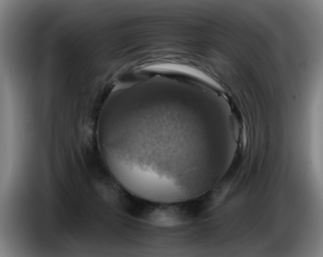 X0000086770271200704201810