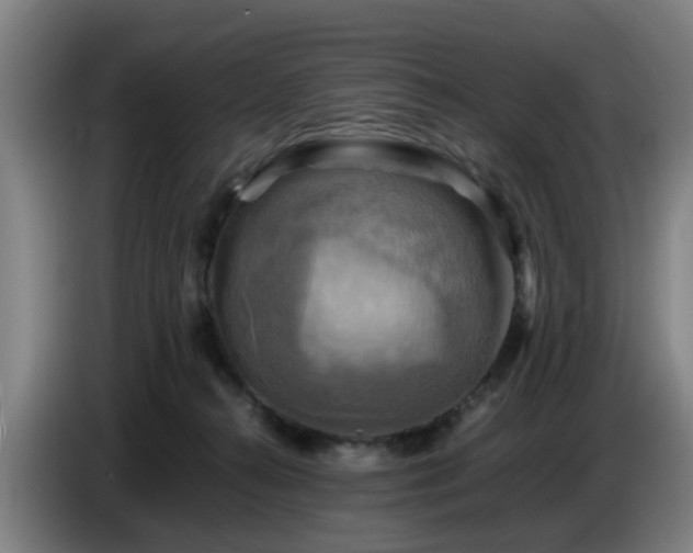 X0000086770272200704201810