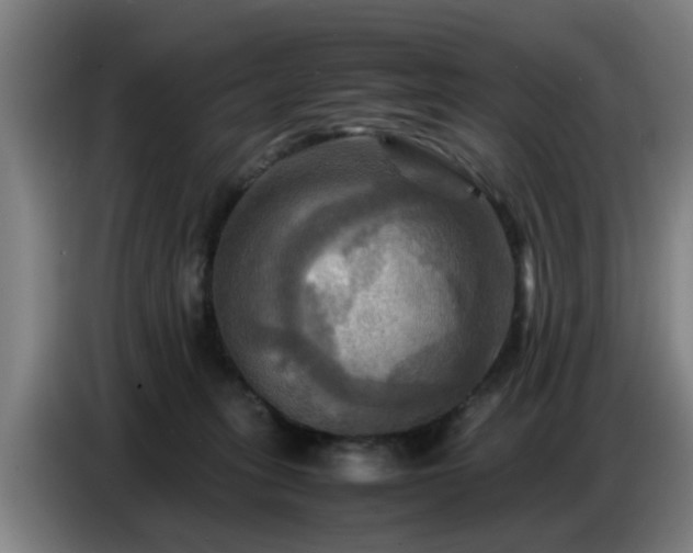 X0000086770275200704201810
