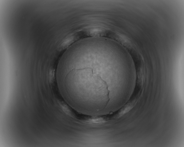 X0000086770278200704201810