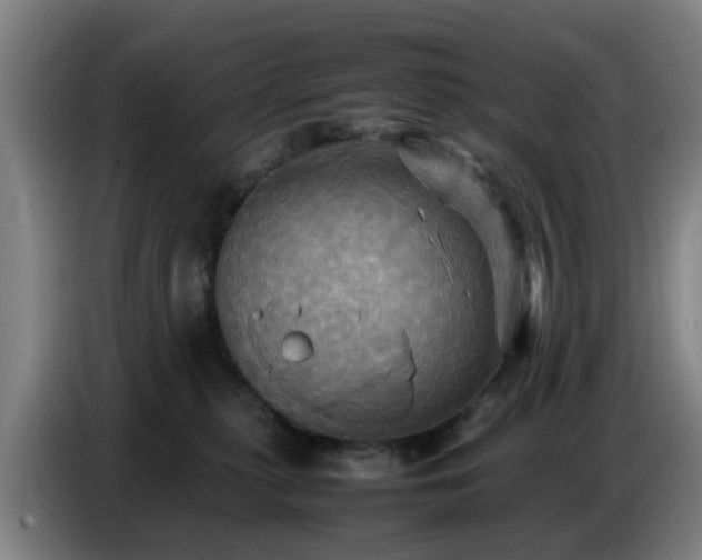 X0000086770279200704201810