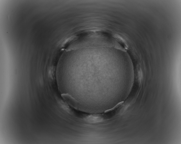 X0000086770280200704201810