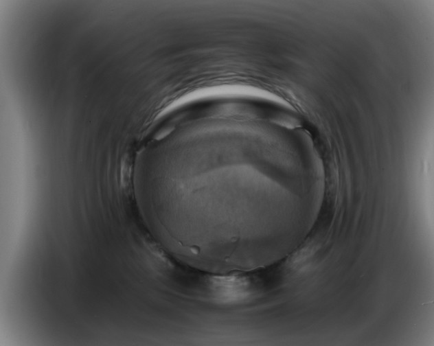 X0000086770281200704201810