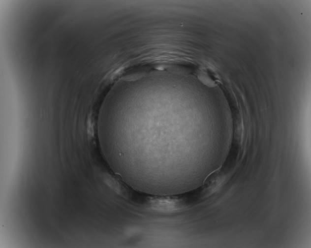 X0000086770282200704201810