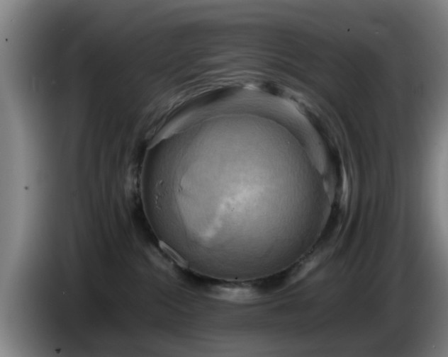 X0000086770284200704201810