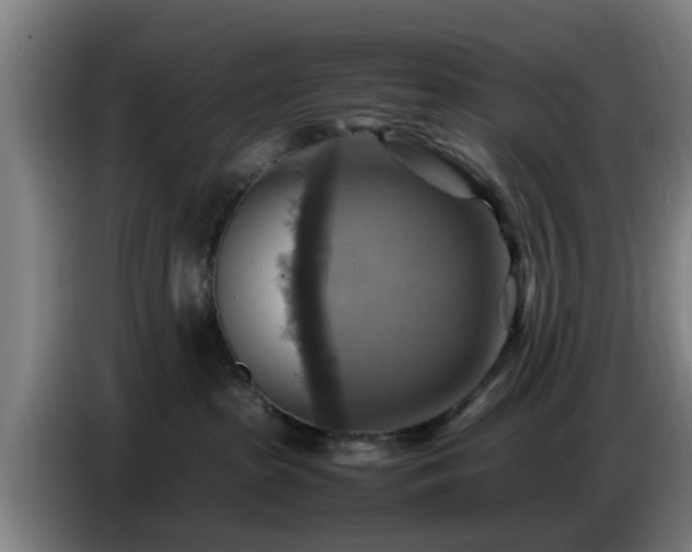 X0000086770285200704201810