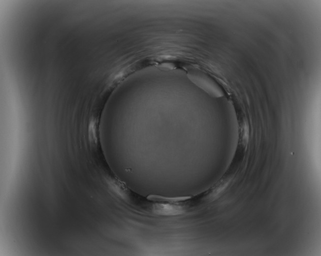 X0000086770286200704201810