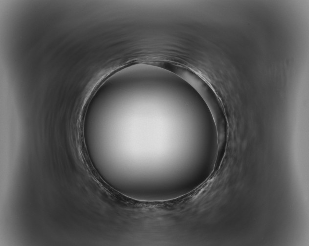 X0000086770289200704201810