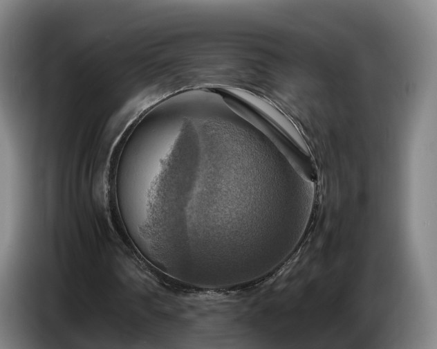 X0000086770290200704201810