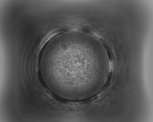 X0000086770291200704201810