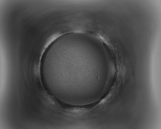 X0000086770292200704201810