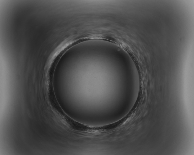 X0000086770295200704201810