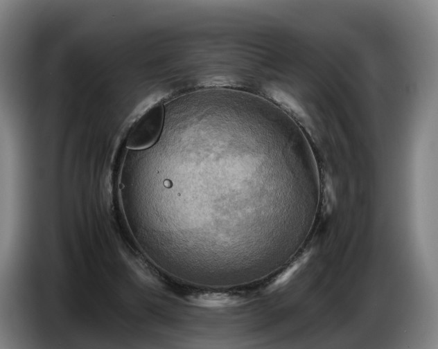 X0000086770298200704201810