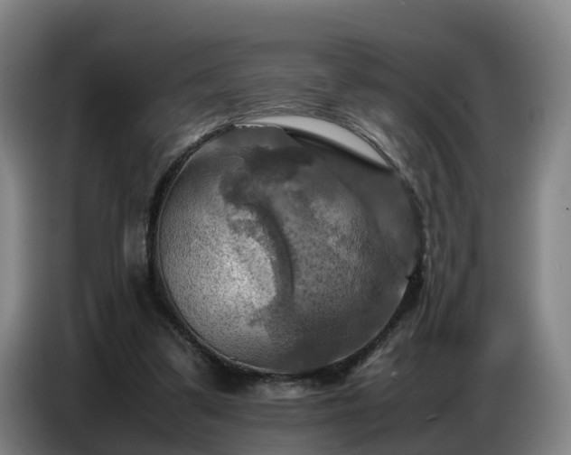 X0000086770299200704201810