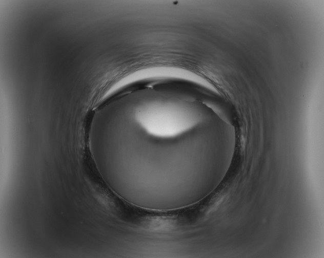 X0000086770303200704201810