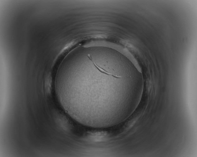 X0000086770304200704201810