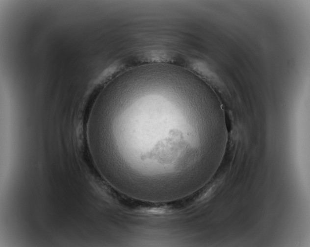 X0000086770306200704201810