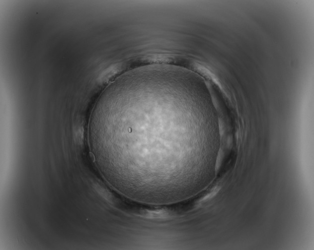 X0000086770309200704201810