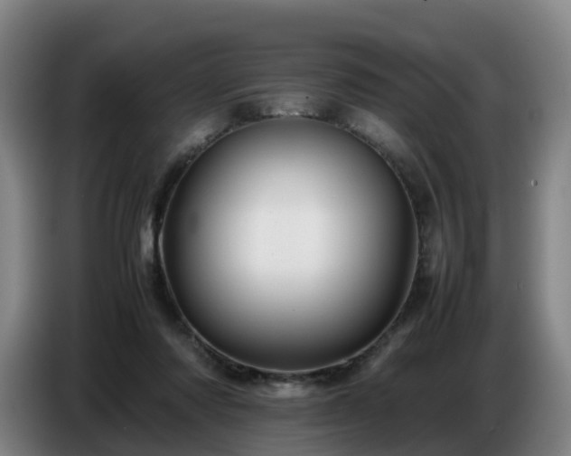 X0000086770310200704201810