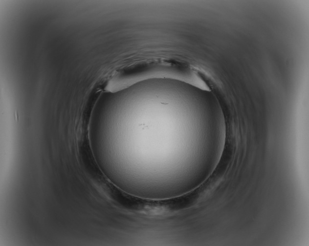 X0000086770311200704201810