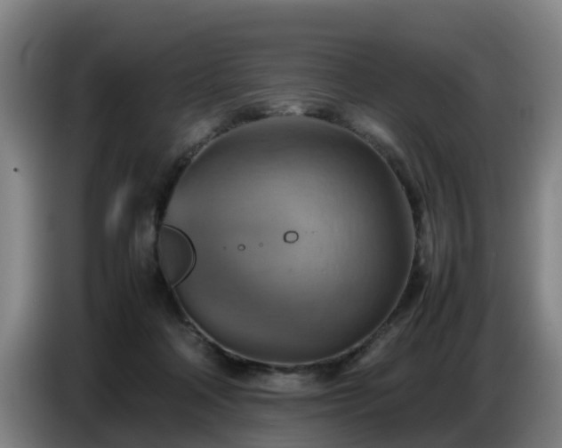 X0000086770314200704201810