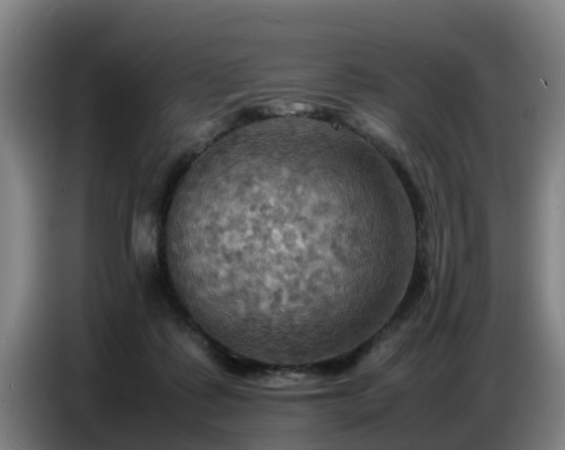 X0000086770315200704201810