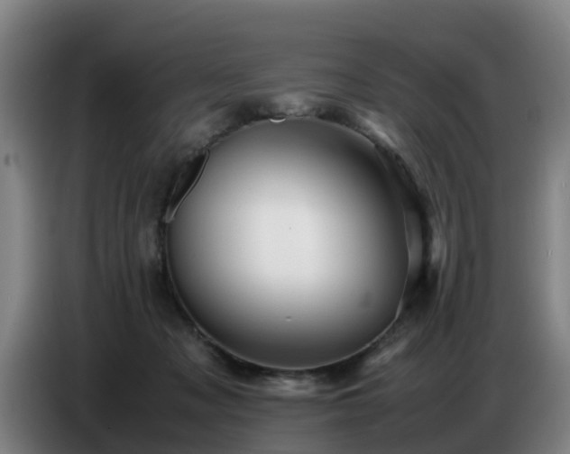 X0000086770317200704201810