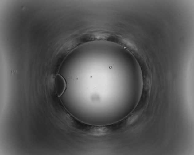 X0000086770321200704201809