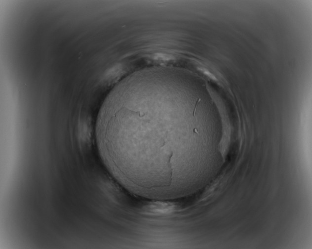 X0000086770328200704201809