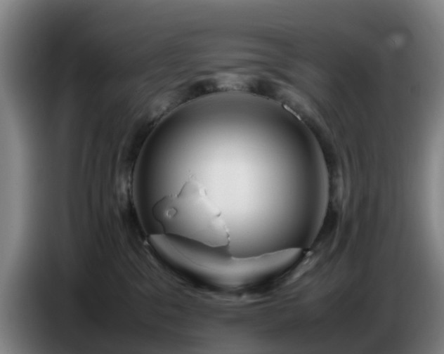 X0000086770329200704201809