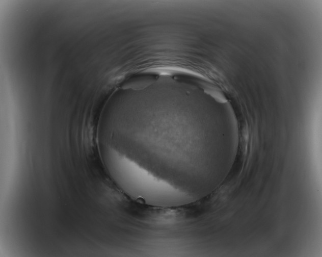X0000086770330200704201809