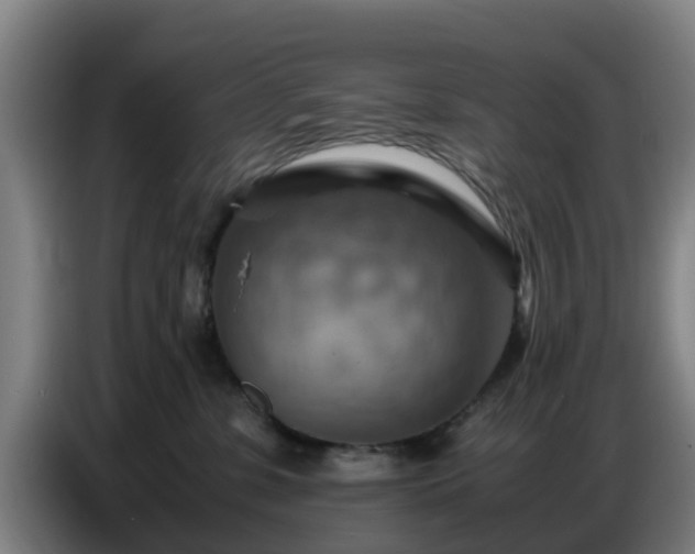 X0000086770331200704201809