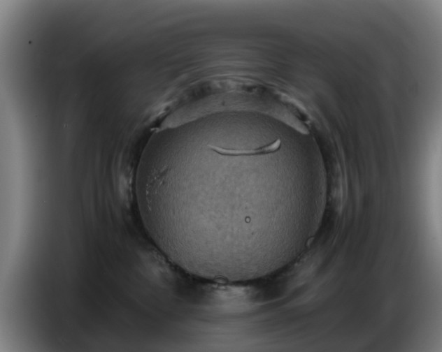 X0000086770332200704201809