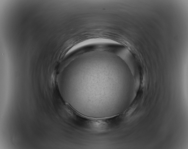 X0000086770333200704201809