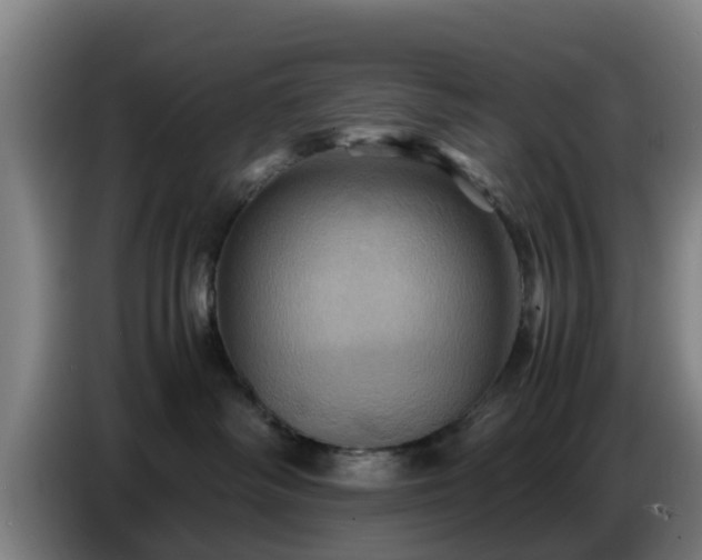 X0000086770334200704201809