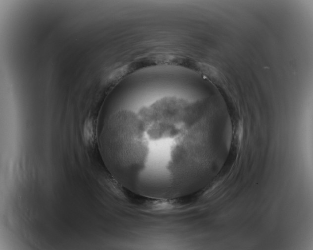 X0000086770335200704201809