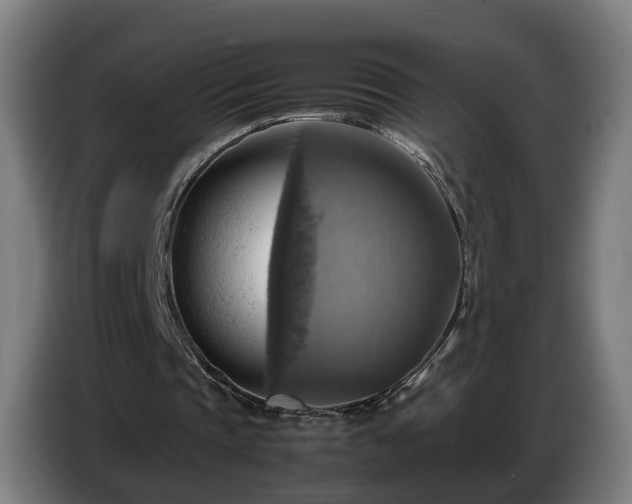 X0000086770337200704201809