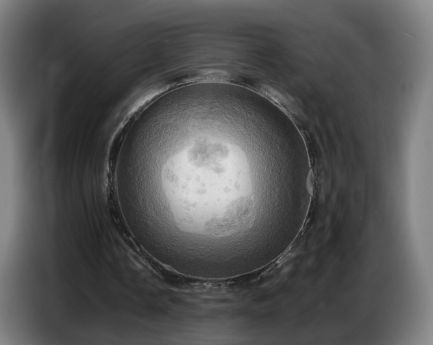 X0000086770338200704201809