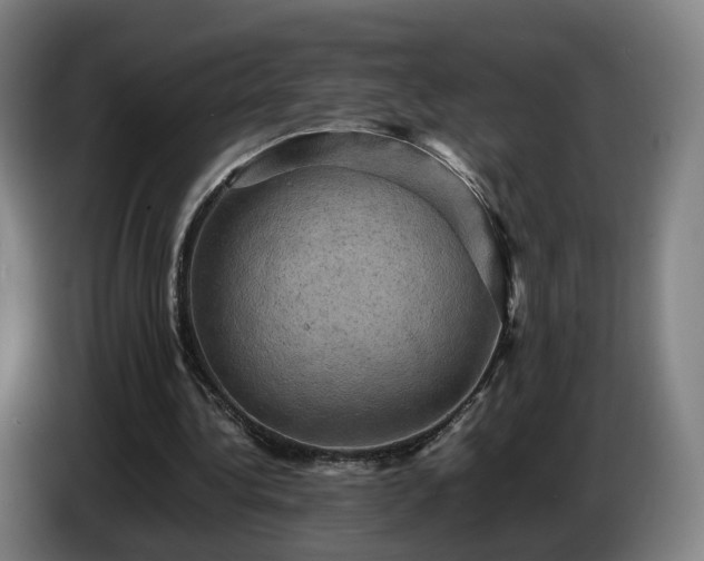 X0000086770340200704201809