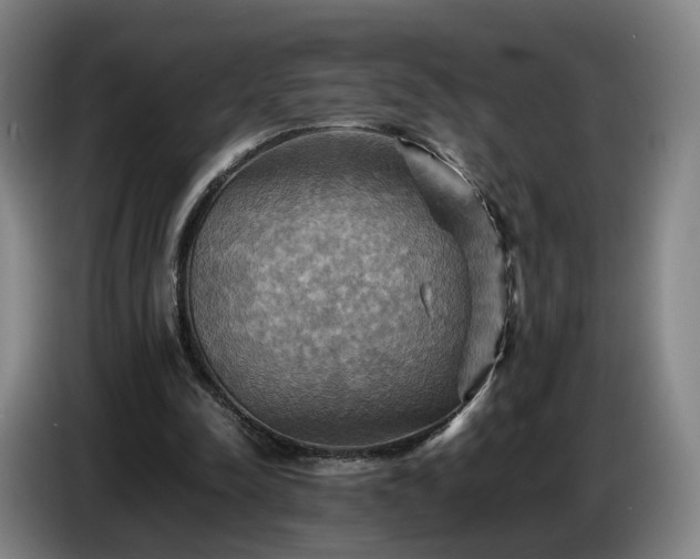 X0000086770342200704201809